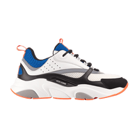 Dior B22 'White Blue Knit'