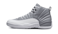 Air Jordan 12 Stealth
