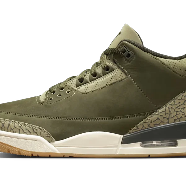 Air Jordan 3 Family Affair