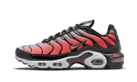 Nike Air Max Plus Sisterhood