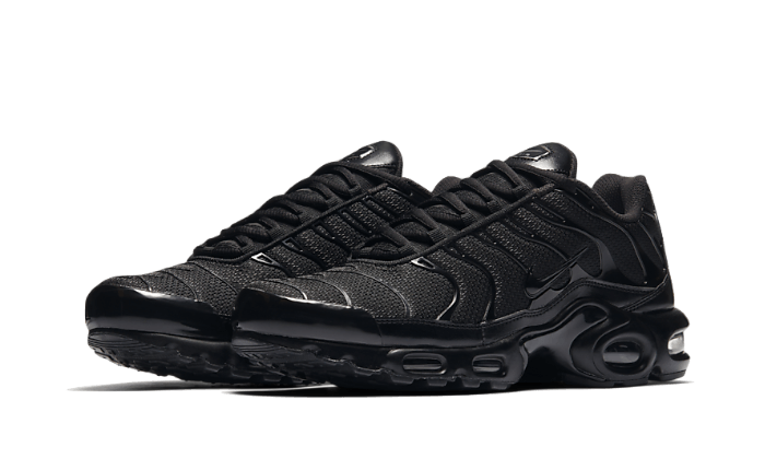 Nike TN: Air Max Plus TN Sneakers for Men & Women
