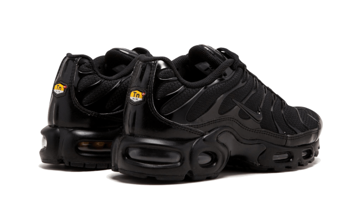 Nike TN: Air Max Plus TN Sneakers for Men & Women