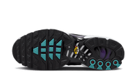 Nike Air Max Plus Reverse Grape