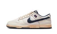 Nike Dunk Low Stranger Things Phantom