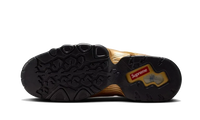 Nike SB Air Max 2 CB '94 Low Metallic Gold