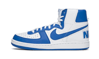Nike Terminator High Game Royal