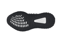 Adidas Yeezy 350 V2 CMPCT Slate Onyx