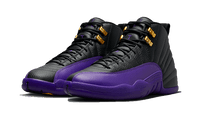 Air Jordan 12 Field Purple
