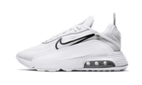 Nike Air Max 2090 White