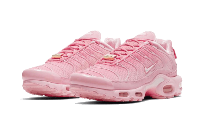 Nike Air Max Plus Atlanta