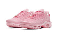 Nike Air Max Plus Atlanta