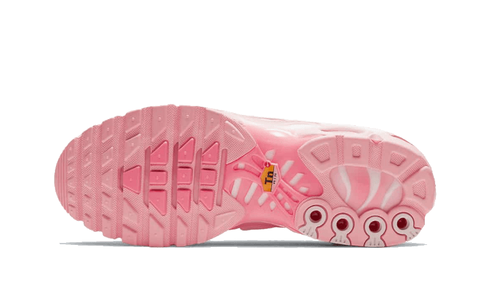 Nike Air Max Plus Atlanta