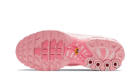 Nike Air Max Plus Atlanta