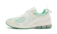 New Balance 2002R GANNI Turtledove