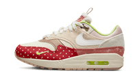 Nike Air Max 1 PRM Best Friend
