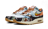 Nike Air Max 1 SP Concepts Heavy