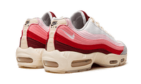 Nike Air Max 95 Anatomy of Air