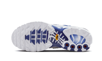 Nike Air Max Plus Blue Fade