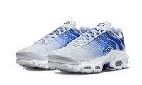 Nike Air Max Plus Blue Fade