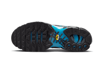 Nike Air Max Plus Blue Gradient