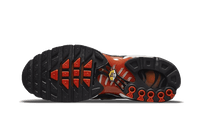 Nike Air Max Plus Sunset Gradient