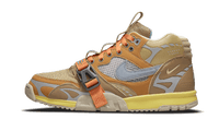 Nike Air Trainer 1 SP Coriander