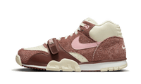 Nike Air Trainer 1 Valentine's Day