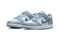 Nike Dunk Low Hologram