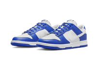 Nike Dunk Low Kentucky Alternate