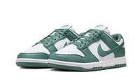Nike Dunk Low Next Nature Bicoastal