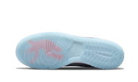 Nike Dunk Low Union Passport Pack Argon