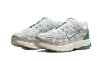 Nike P-6000 Light Bone